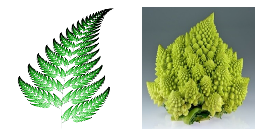 A close up of a plant
AI-generated content may be incorrect.