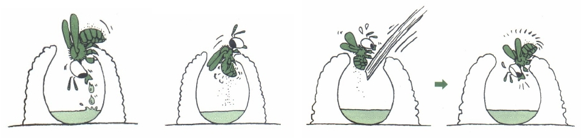 A drawing of a plant
AI-generated content may be incorrect.