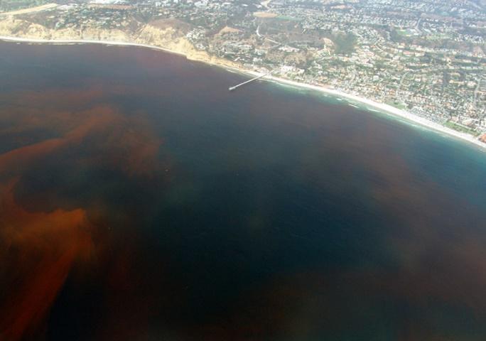 Aerial view of a beach and a city
